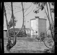 Iansa (Chile) : Planta Curicó