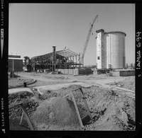 Iansa (Chile) : Planta Curicó