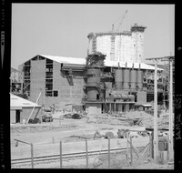 Iansa (Chile) : Planta Curicó