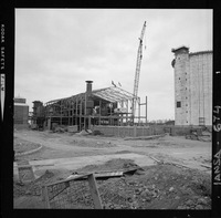 Iansa (Chile) : Planta Curicó