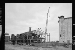 Iansa (Chile) : Planta Curicó