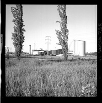 Iansa (Chile) : Planta Curicó