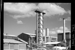 [Iansa (Chile) : Planta Curicó]