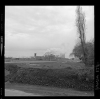 [Iansa (Chile) : Planta Linares]