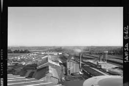 [Iansa (Chile) : Planta Linares]