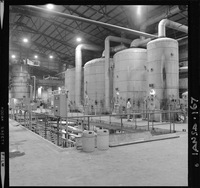 [Iansa (Chile) : Planta Linares]