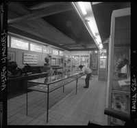 [Museo de Arte y Artesanía de Linares : Sala de exhibición de colecciones]