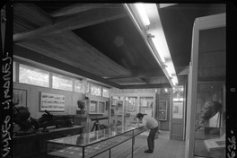 [Museo de Arte y Artesanía de Linares : Sala de exhibición de colecciones]