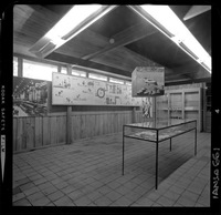 [Museo de Arte y Artesanía de Linares : Sala de exhibición de colecciones]