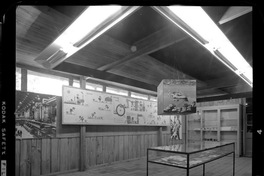 [Museo de Arte y Artesanía de Linares : Sala de exhibición de colecciones]