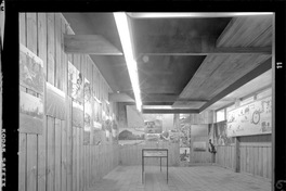 [Museo de Arte y Artesanía de Linares : Sala de exhibición de colecciones]