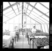 [Científicos trabajando en el laboratorio del Campo Experimental Iansa]