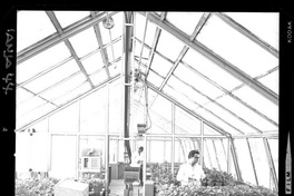 [Científicos trabajando en el laboratorio del Campo Experimental Iansa]