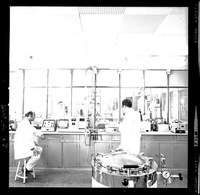 [Científicos trabajando en el laboratorio del Campo Experimental Iansa]