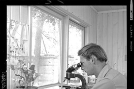 [Científico trabajando en el laboratorio del Campo Experimental Iansa]