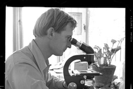 [Científico trabajando en el laboratorio del Campo Experimental Iansa]