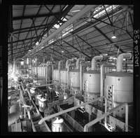 [Iansa (Chile) : Planta Llanquihue]