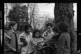 [Iansa (Chile) : Niñas observan remolacha azucarera (Beta vulgaris)]