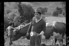 [Iansa (Chile) : Cosecha de remolacha azucarera en la Planta Llanquihue]