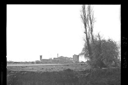 [Iansa (Chile) : Planta Cocharcas]