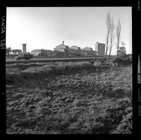 [Iansa (Chile) : Planta Cocharcas]