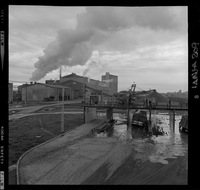 [Iansa (Chile) : Planta Cocharcas]