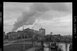 [Iansa (Chile) : Planta Cocharcas]