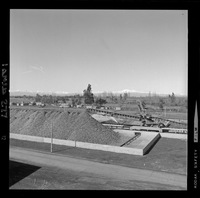 [Iansa (Chile) : Planta Cocharcas]