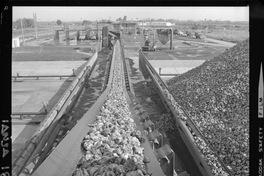 [Iansa (Chile) : Planta Cocharcas]