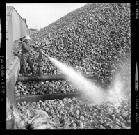 [Iansa (Chile) : Planta Cocharcas]