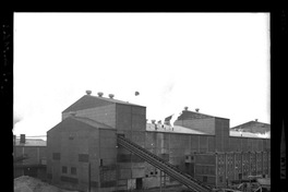 [Iansa (Chile) : Planta Cocharcas]