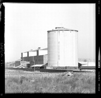 [Iansa (Chile) : Planta Cocharcas]