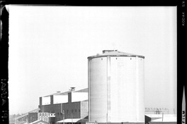 [Iansa (Chile) : Planta Cocharcas]