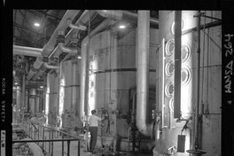 [Iansa (Chile) : Planta Cocharcas]