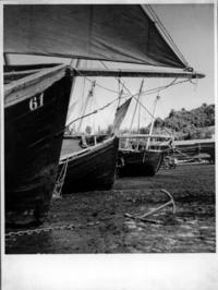 Pescadores en sus lanchas a orillas de un muellle de Valdivia.