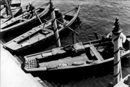 Lanchas en la caleta