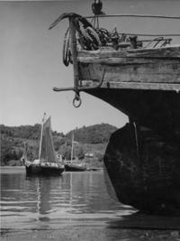 [Lanchas chilotas, a orillas de la Caleta de Angelmó]