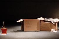 Heridas múltiples  [fotografía digital] Elio Frugone Piña.