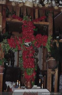 Fiesta de la Cruz de Mayo en San Pedro, Concepción, 1993.