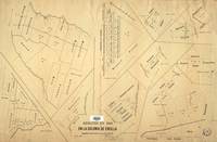 Remates en 1896 en la Colonia de Ercilla.