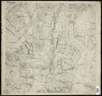 Peumo  [material cartográfico].