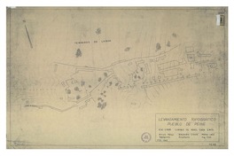 Levantamiento topográfico pueblo de Peine  [material cartográfico] Arturo Pérez, Alejandro Crestá y Mateo Lolic.
