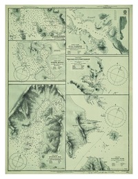 Plans on the W. Coast of Patagonia. South America