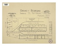 Desvío y bodegas Sociedad "El Tattersall" : Manzana 395