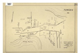 Tongoy numeración de manzanas oficial [mapa] : de la Asociación de Aseguradores de Chile.