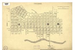 Cauquenes con la numeración de manzanas oficial [mapa] : de la Asociación de Aseguradores de Chile.