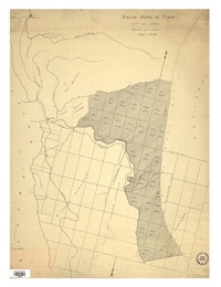 Rejión norte de Tirúa Depto.de Cañete : hijuelas para remates [material cartográfico] :