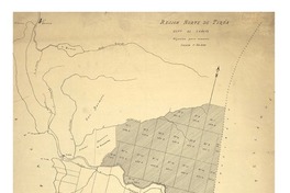Rejión norte de Tirúa Depto.de Cañete : hijuelas para remates [material cartográfico] :