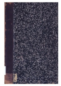 Puerto de San Antonio : Texto del proyecto