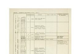 Columna estratigráfica de las formaciones manganesíferas cretácicas de la provincia de Coquimbo.